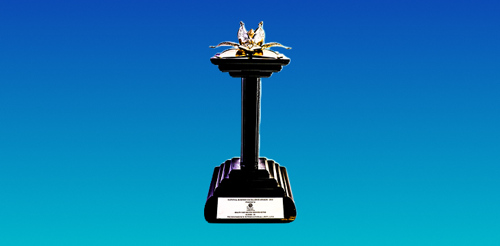 National Business Excellence Award (Silver) – 2015