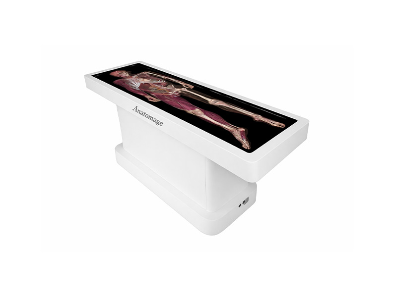 Virtual Dissection Table